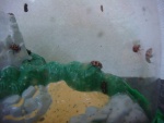 2010May001.jpg