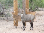 Sedona087.jpg