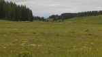 20150724_105322-800x450-1.jpg