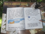 144.JPG